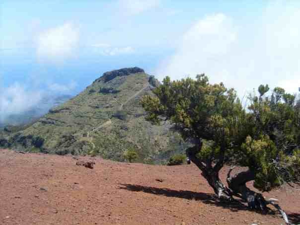 Madeira