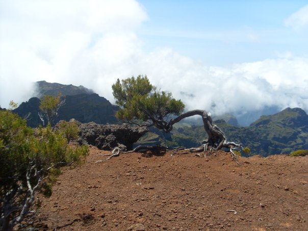 Madeira